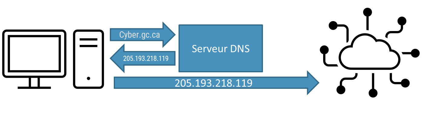 Système d’adressage par domaine (DNS) de protection - Description detaillée suit immédiatement.