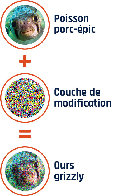 Figure 13 - Description détaillée suit immédiatement